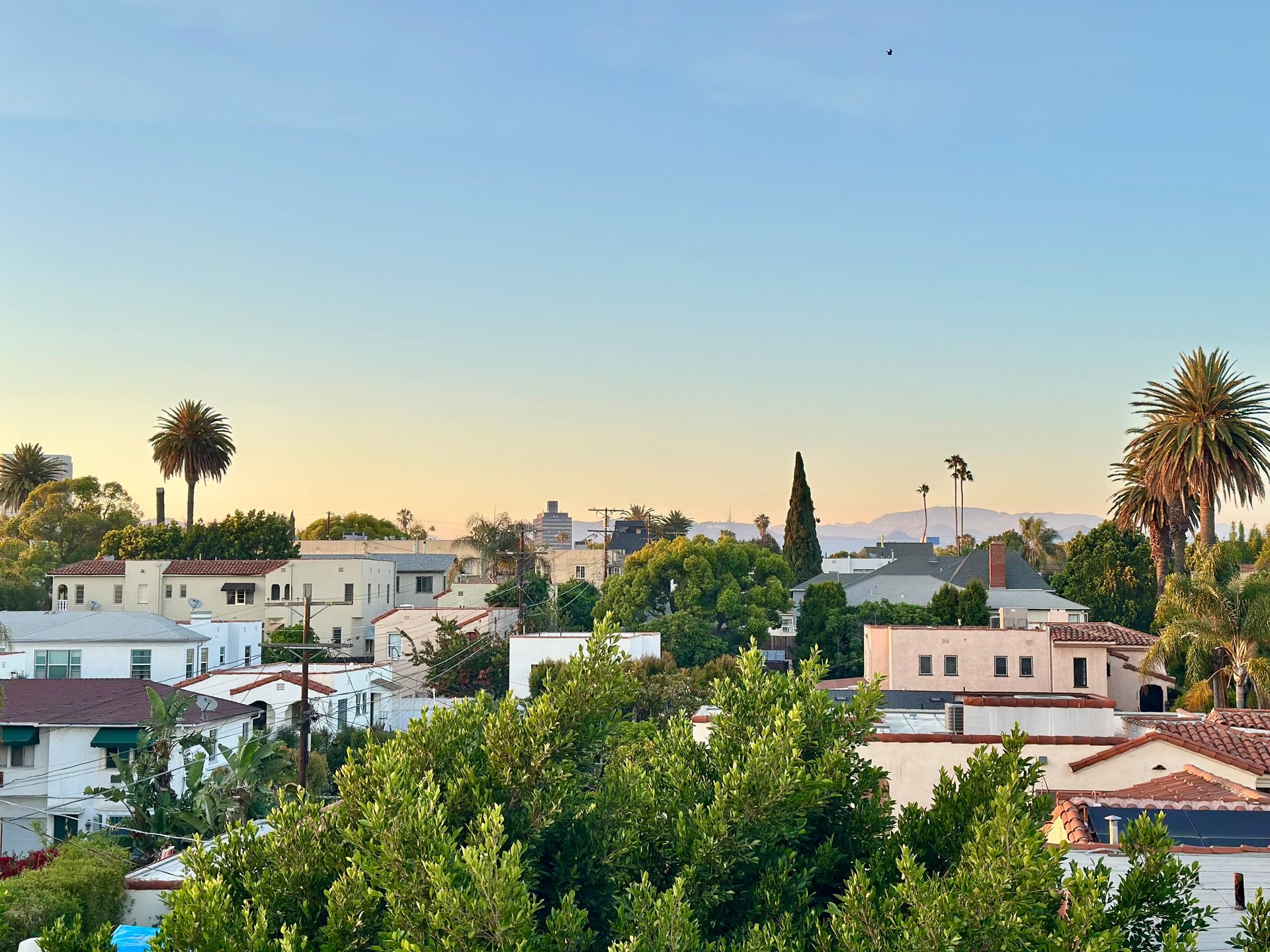 Residential neighborhood with white and peach buildings, palm trees, and cypress trees under a clear blue sky at sunrise