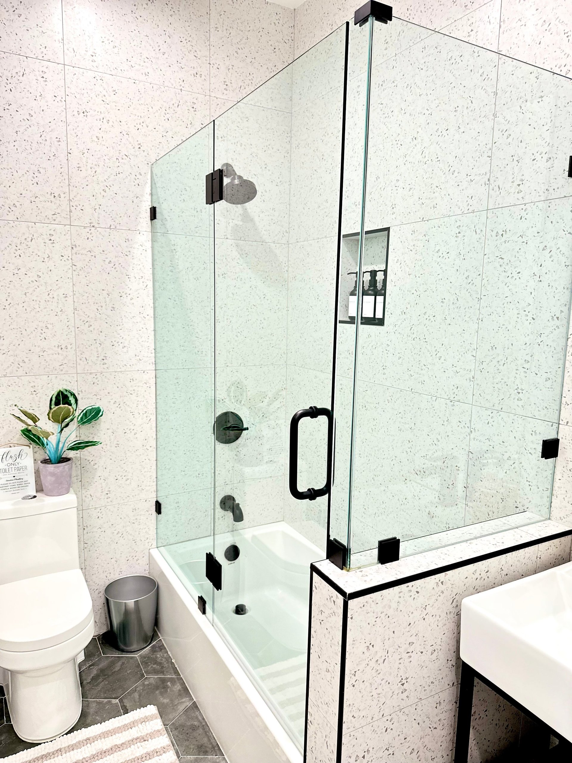 Modern bathroom with frameless glass shower enclosure, white toilet, vanity sink, and decorative plant on shelf