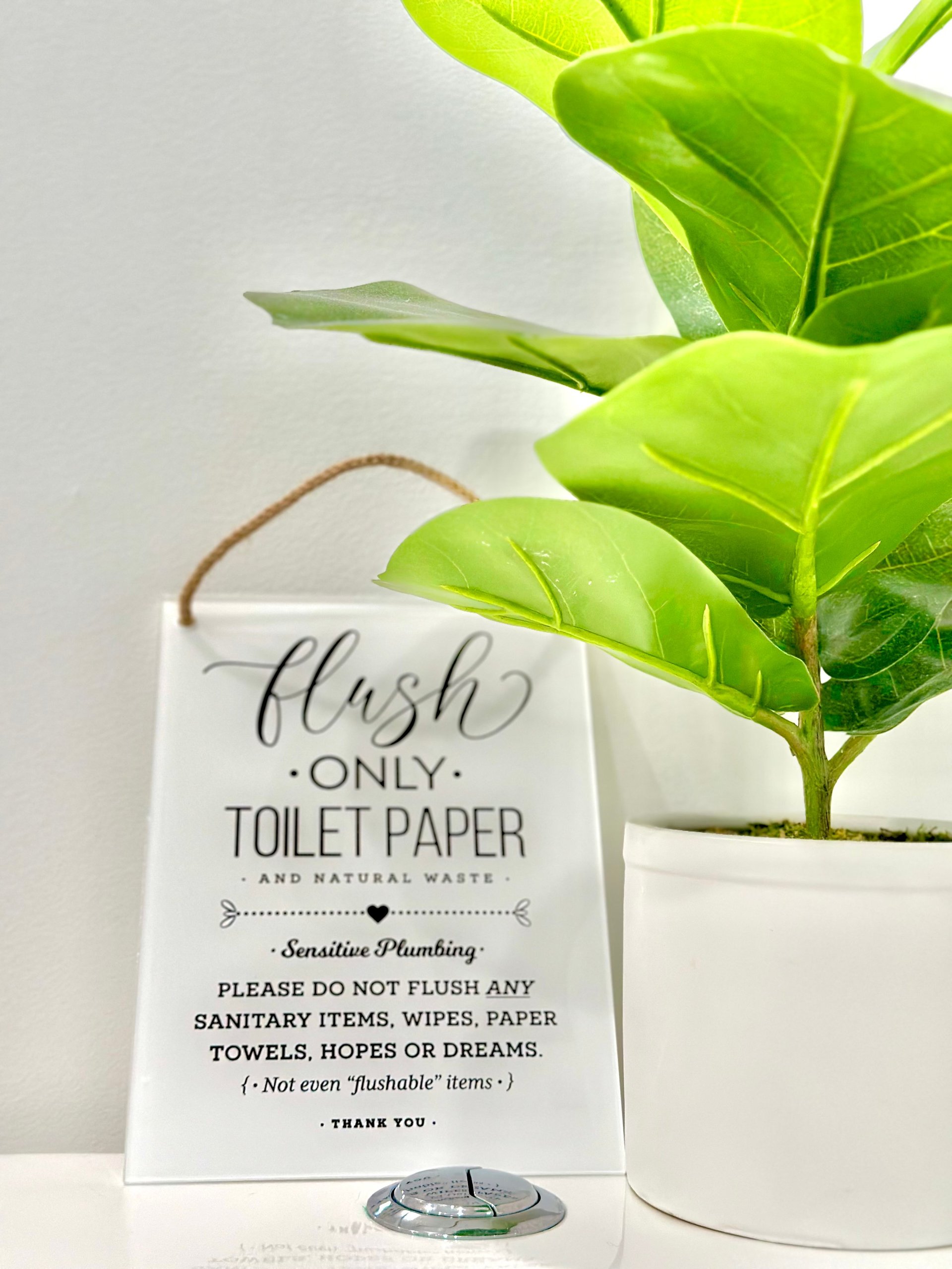White tag with brown twine hanging from white toilet paper holder next to potted green plant